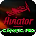 3 Card Fly Game Gaming Pro