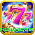 dk999 Turbo Gaming App